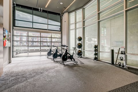 A gym with a row of exercise bikes and a rack of dumbbells.